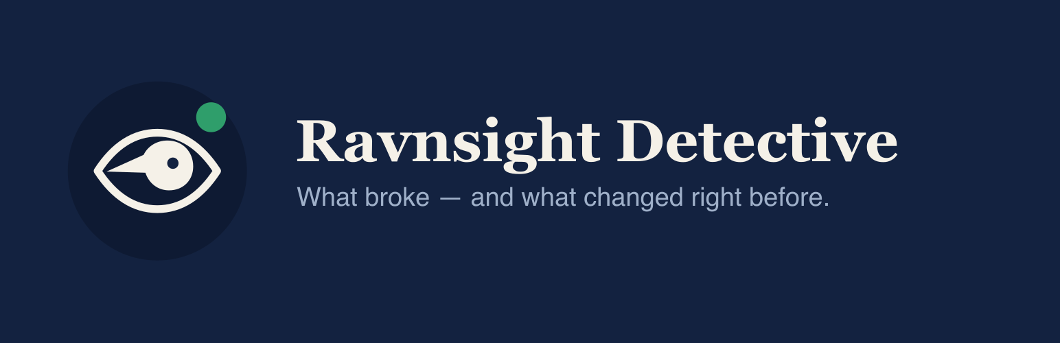 Ravnsight Detective